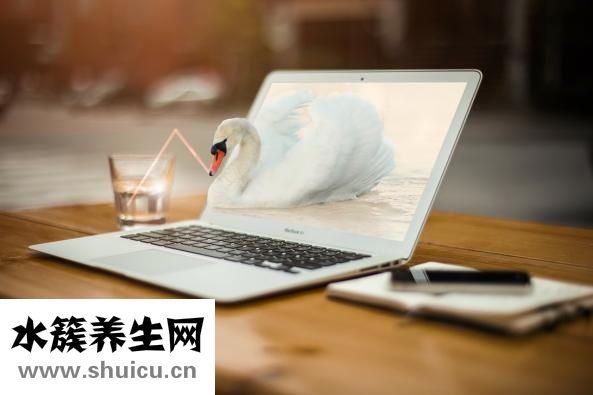 什么白酒好喝