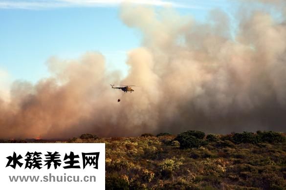 失眠多夢吃什么