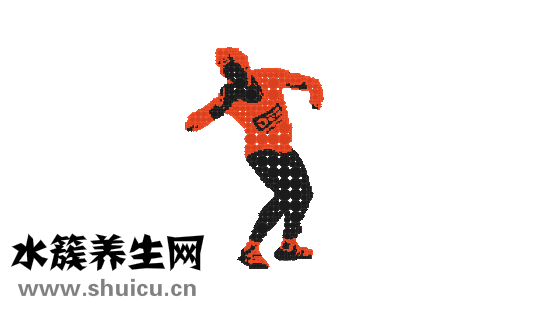 十大減肥產品