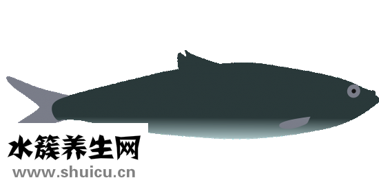 天麻燉魚頭