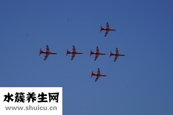 啞鈴健身操