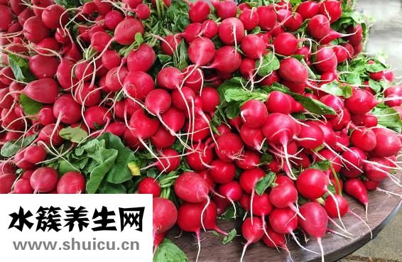 完美營養餐