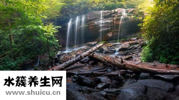 卵巢纖維瘤
