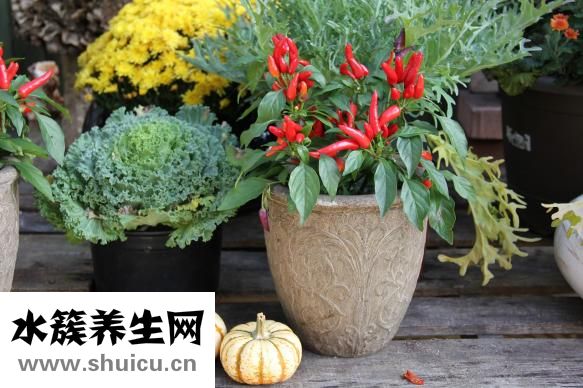 孕婦胃脹氣