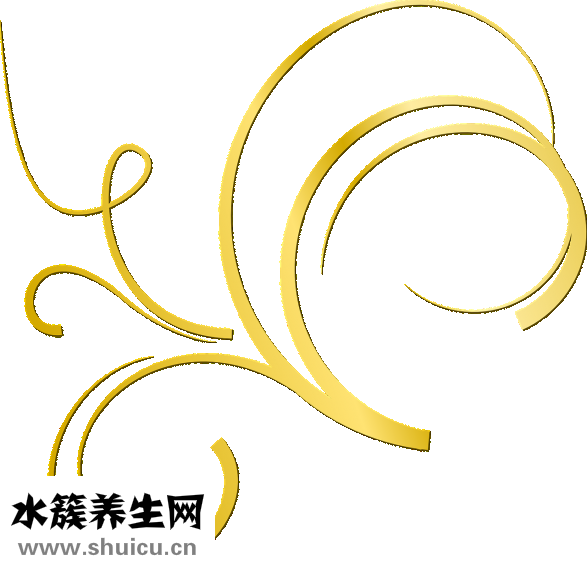 孕婦能吃海帶