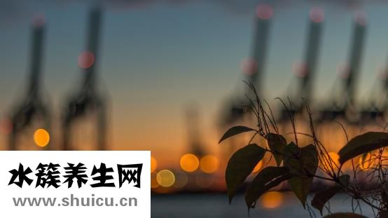 拔罐能洗澡嗎