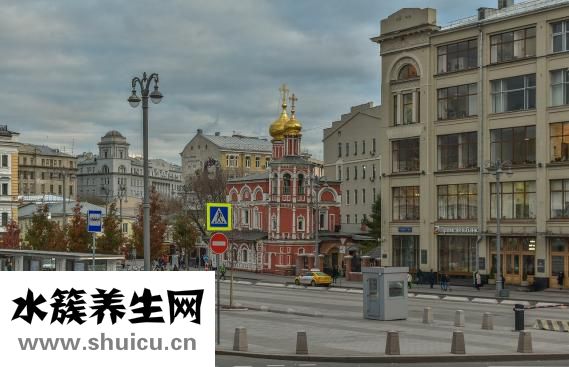 使君子圖片