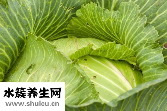 我的瘦身食譜
