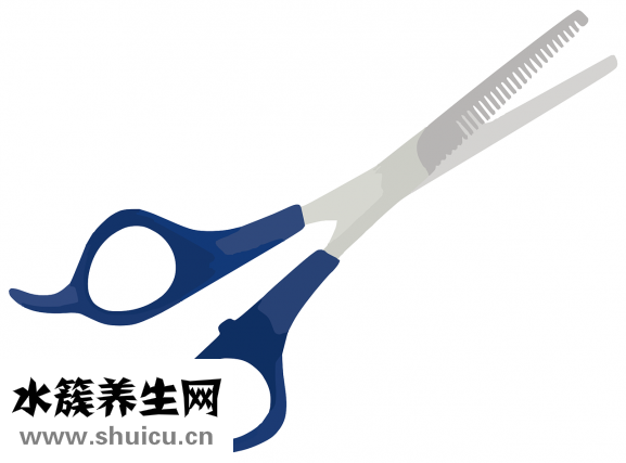我的瘦身食譜