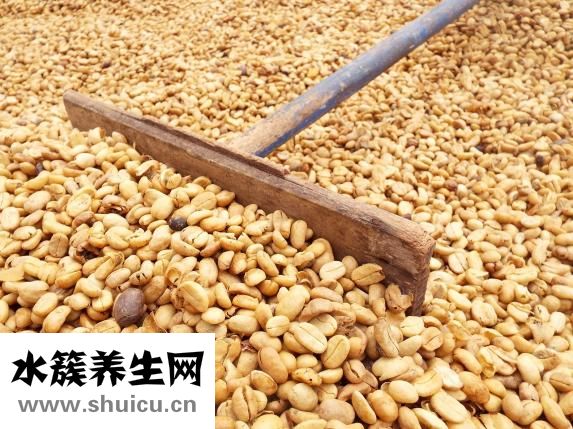 怎樣做豆豉