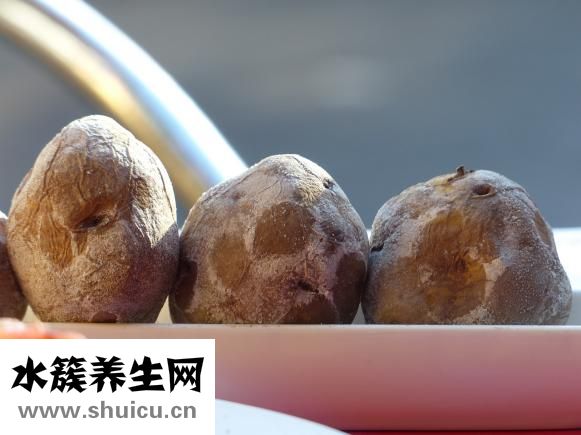 土豆是蔬菜嗎