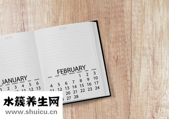 子宮有多大