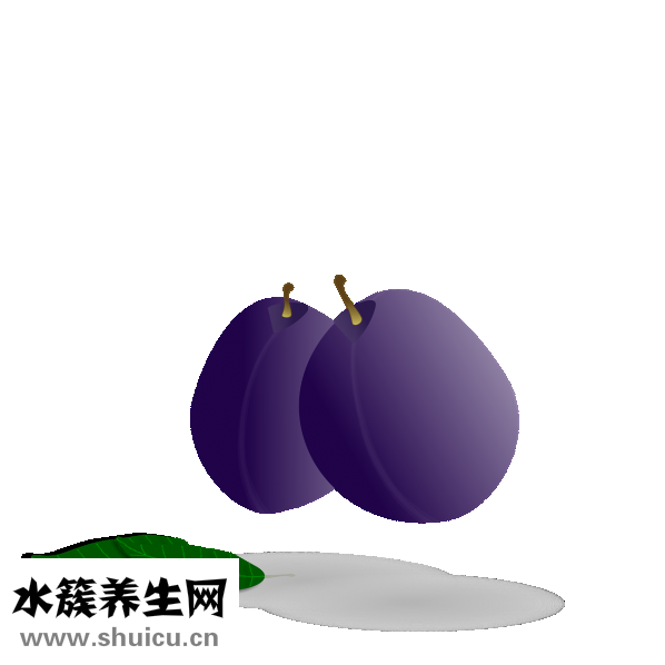 沙糖桔上火嗎