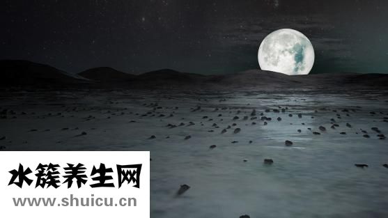 藥流最佳時間