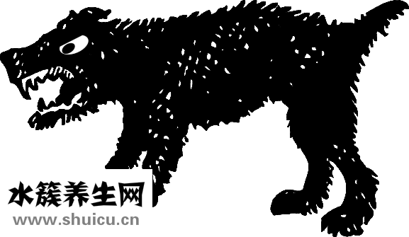 牙齒矯正年齡