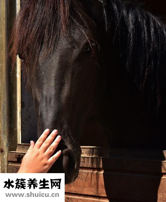 疏風再造丸
