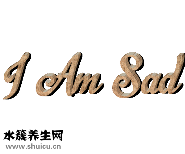 魷魚鐵板燒