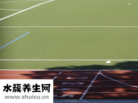 瘦小腿手術