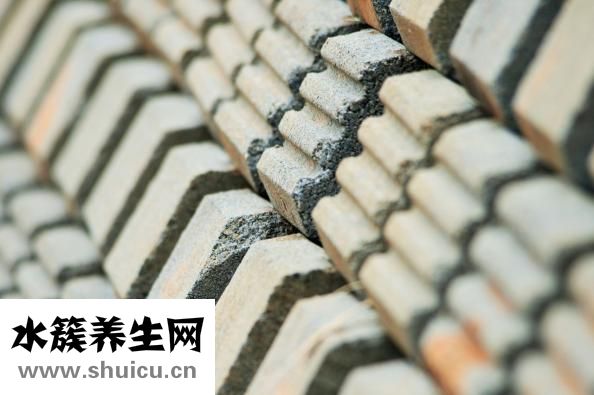 田七怎么吃