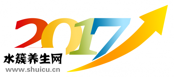 踝關節活動度