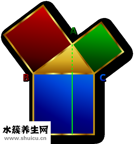 耳朵的結構圖