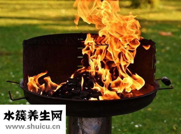 益生菌凍干粉