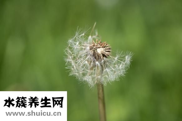 美容法去胎記