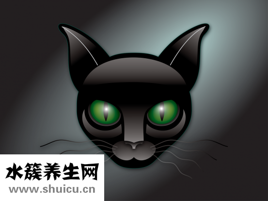 眼睛結膜炎