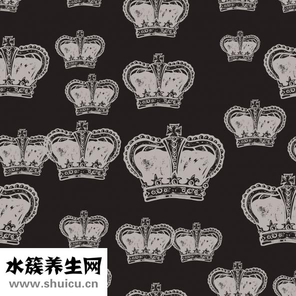 硝酸鉀是什么
