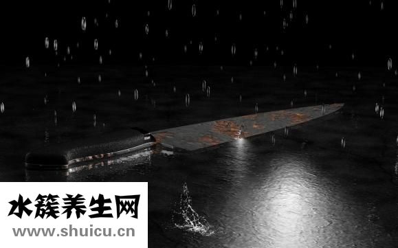 辣木籽功效