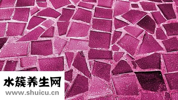 湯好喝方便面