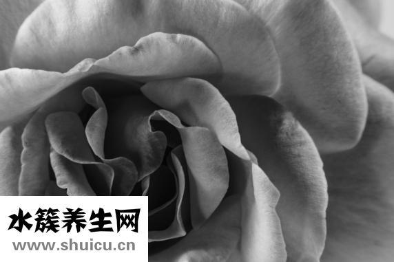 消化系統疾病