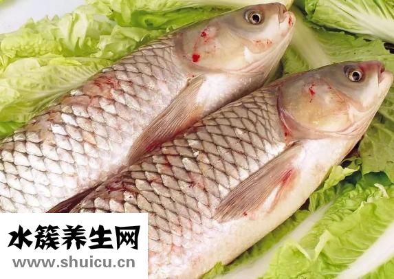 紅燒草魚塊