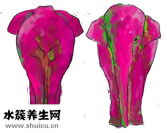 消化系統疾病
