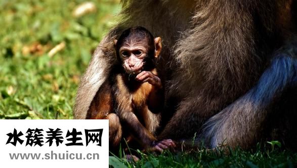 胎動在左邊