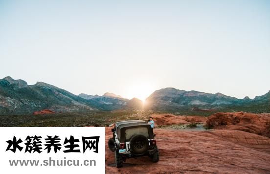 為什么會吐血