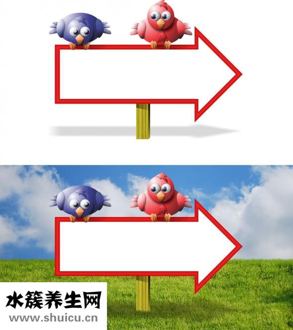 牙線棒怎么用