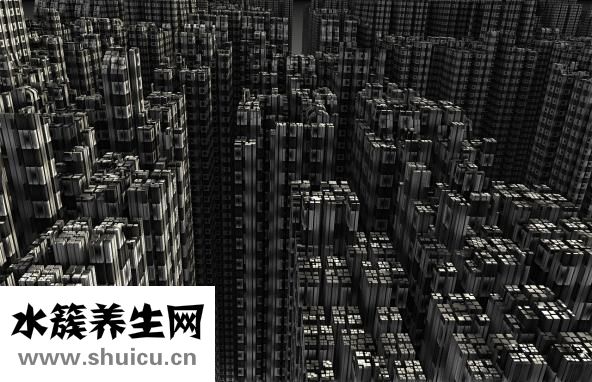 通心絡膠囊成分