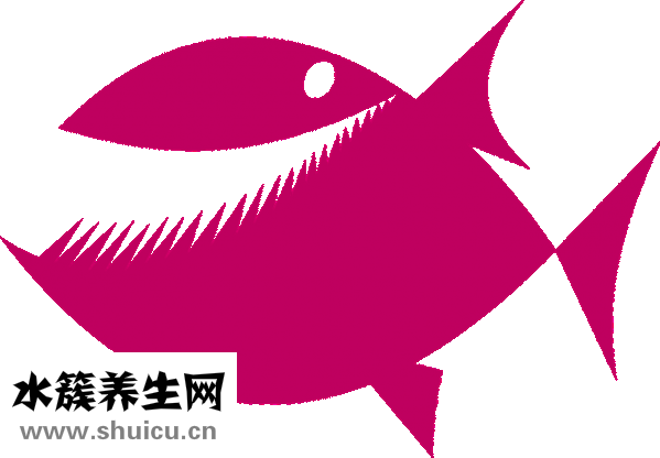 牙根斷裂圖片