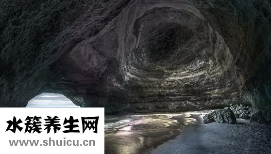 真武湯的配方
