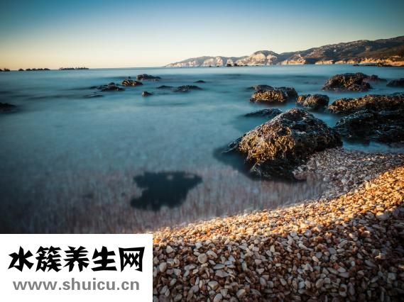 芪藶怎么讀