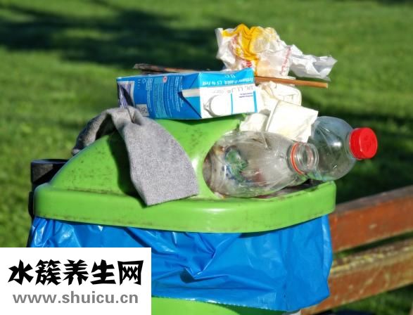 纖維素化學式