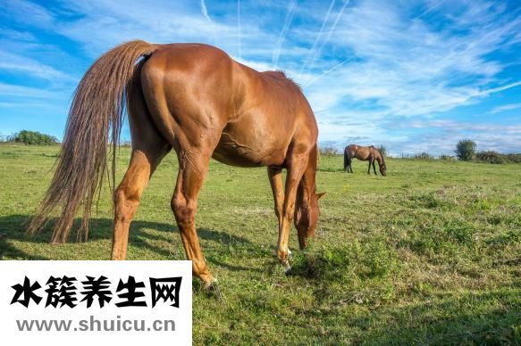 什么是蘋果肌