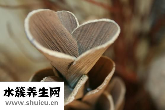 蜂蜜去皺紋