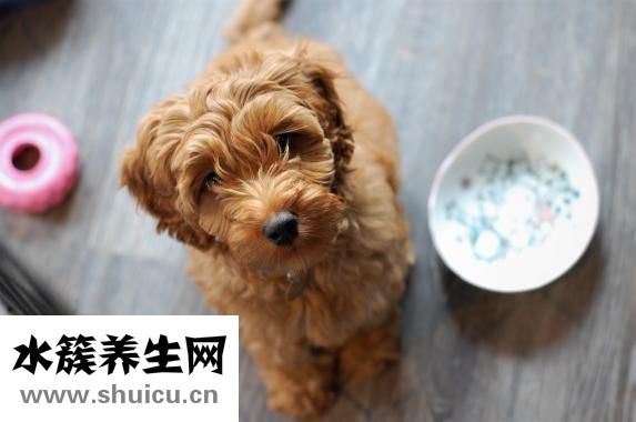 魚油的功效