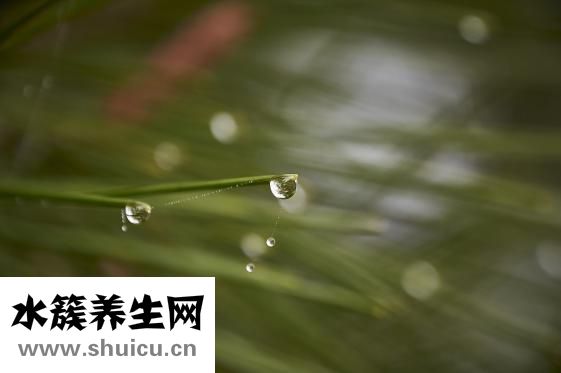 透明質酸注射