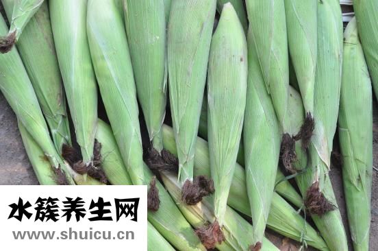 西紅柿土豆