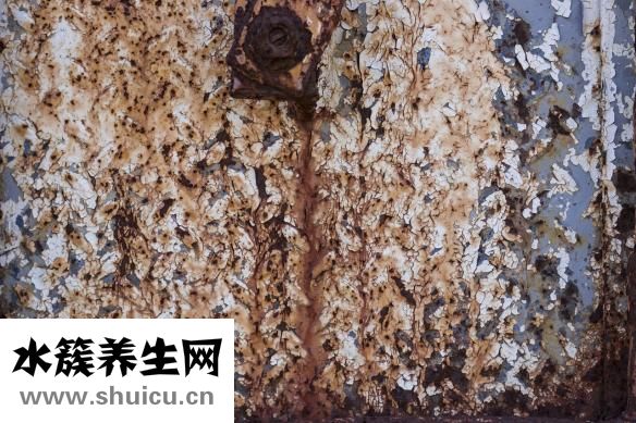 鐵皮石斛花