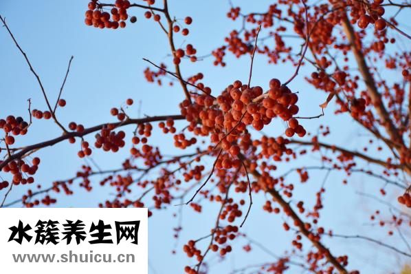 魚干怎么吃