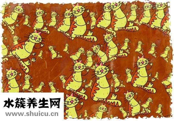 芍藥的別名